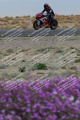 media/Jan-14-2023-SoCal Trackdays (Sat) [[497694156f]]/Turn 14 Exit Bloomig (145pm)/